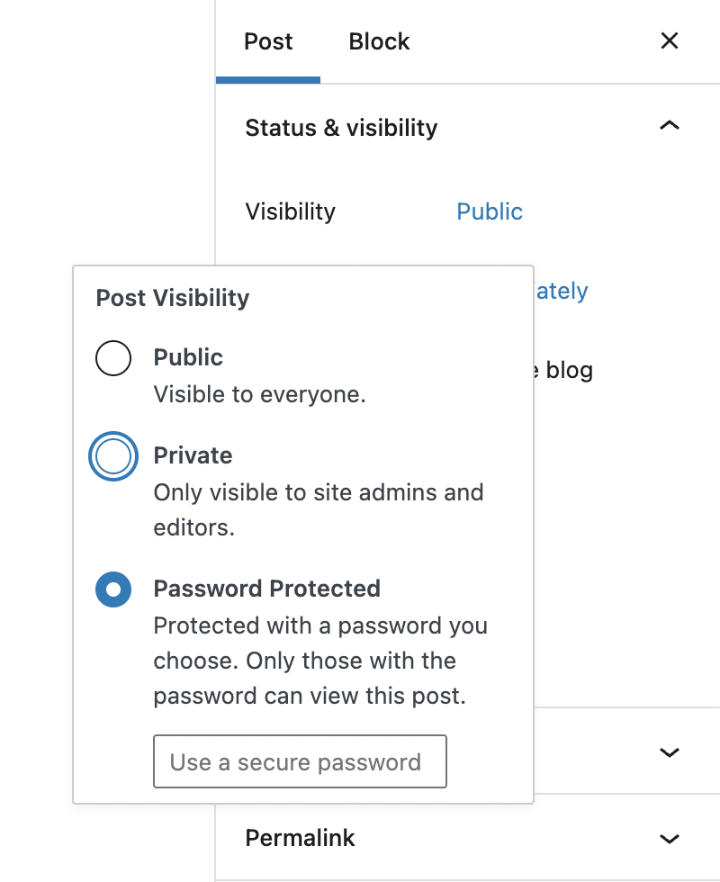 The password field shows up once you check the Password Protected option.