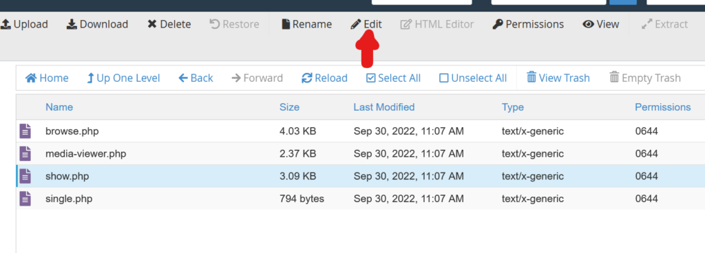 Picture showing how you can start editing the code of show.php